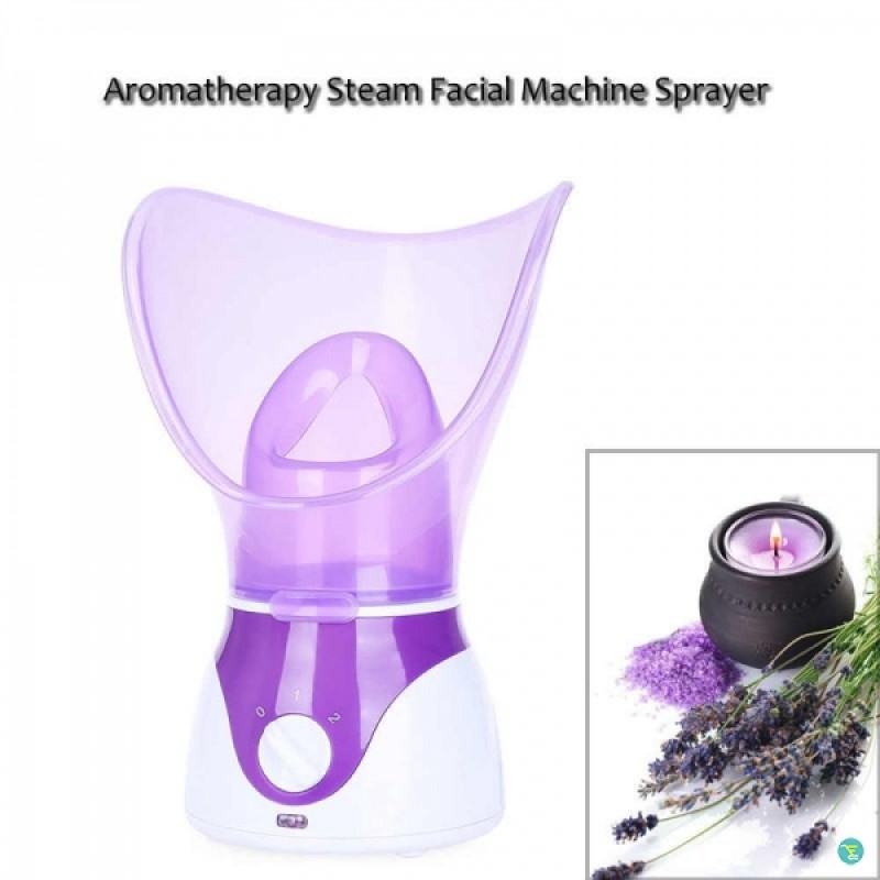 NTFS Beauty Facial Steamer